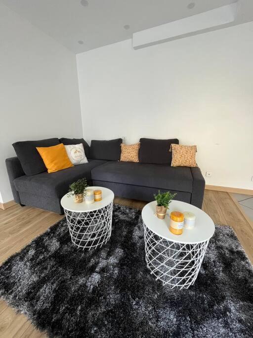 Superbe Appartement Moderne En Rez-De-Chaussee Ozoir-la-Ferrière Exterior foto
